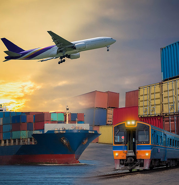 Chi siamo: Cooperativa di Lavoro e Produzione Aprilia, imballaggi industriali, casse in legno e stoccaggio