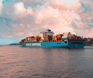 Casse per spedizioni internazionali Roma